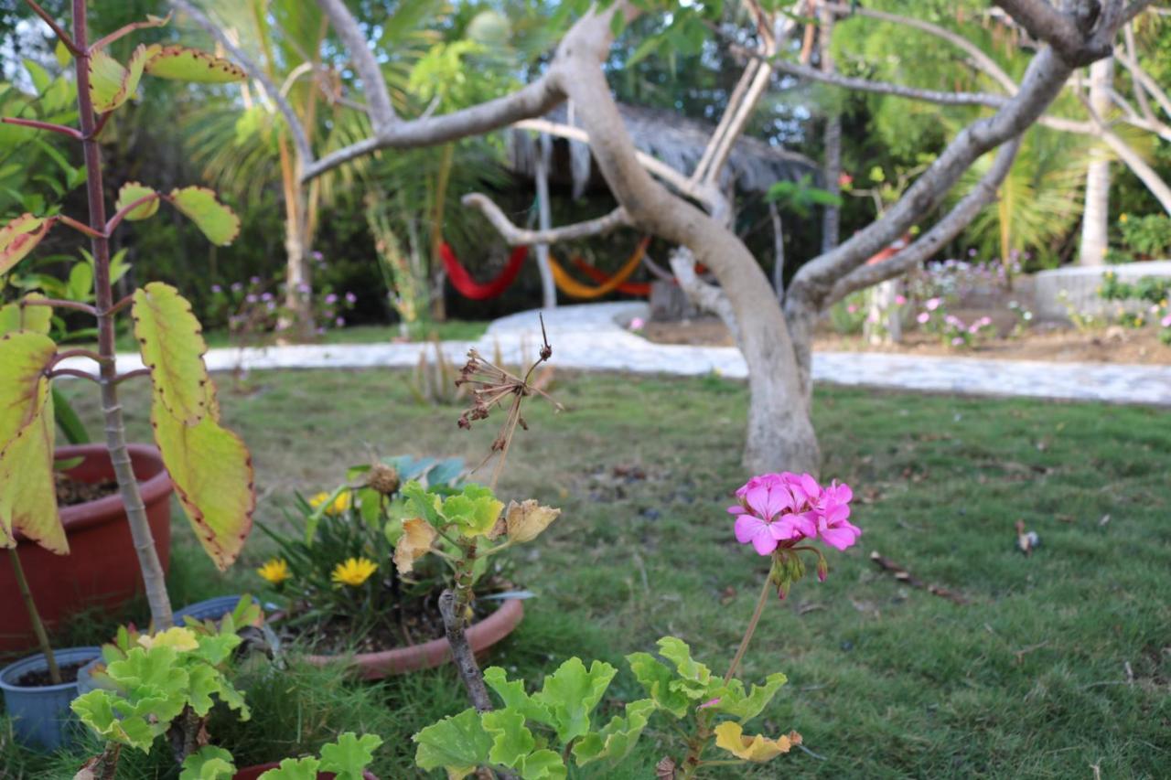 Villa Cartago Bay Puerto Villamil Exterior foto